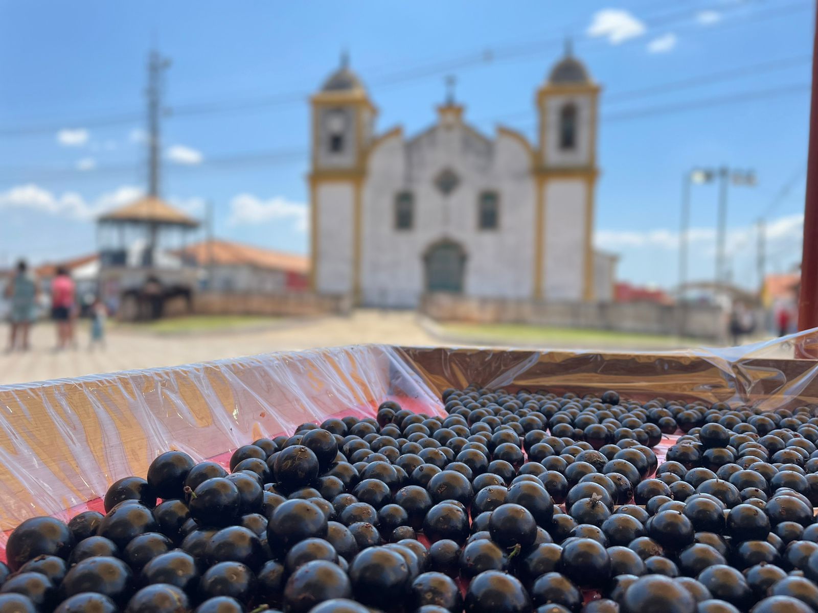 Capital da Jabuticaba, Cachoeira do Campo teve desde refrigerante a brigadeiro da fruta